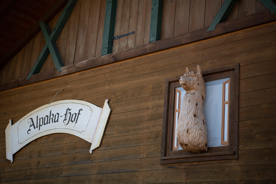 Inser Hoamat Riegsee alpaca farm